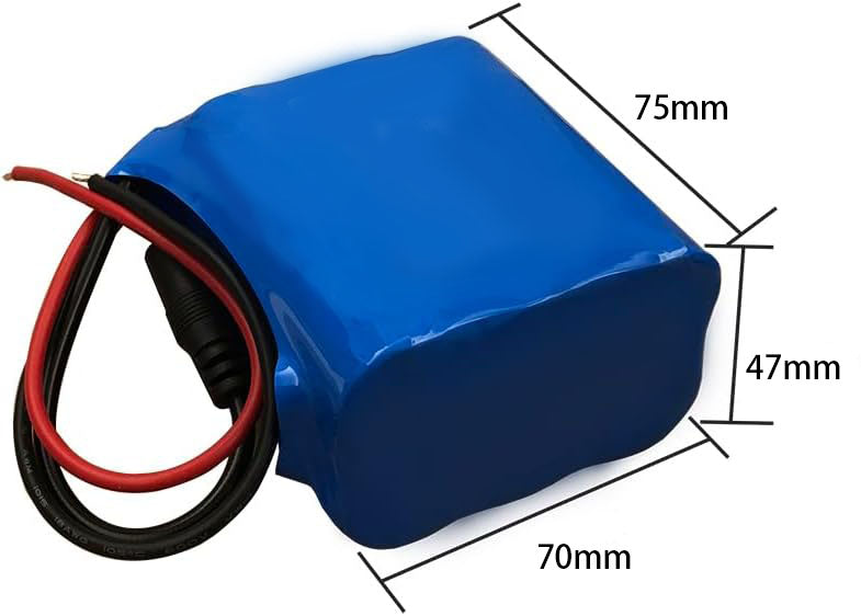 Seasider 12V 10000mAh Rechargeable Lithium Battery Pack, Bare Leads Wire Replacement Li-ion Battery with 12V Charger