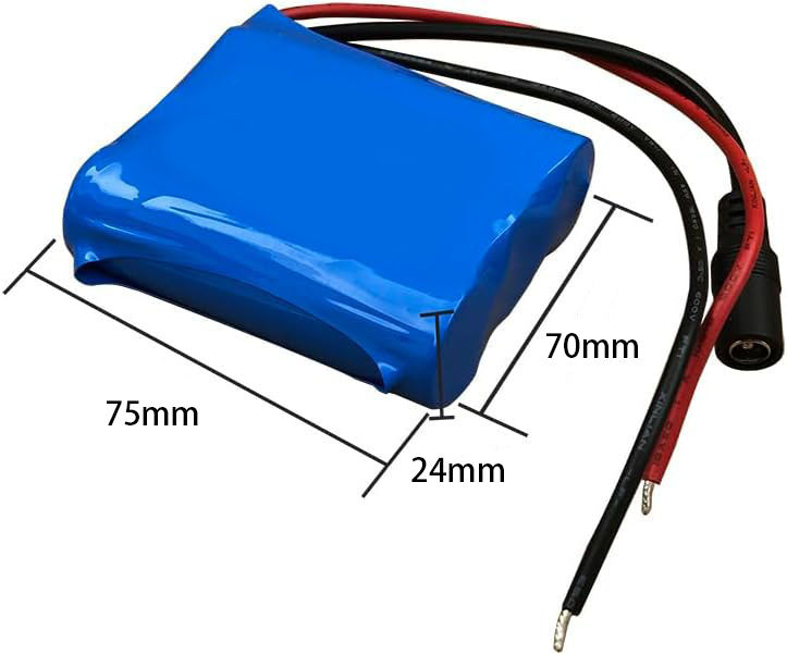 Seasider 12V 5000mAh Li-ion Battery Pack, Bare Leads Wire Lithium Replacement Battery with 12V Charger