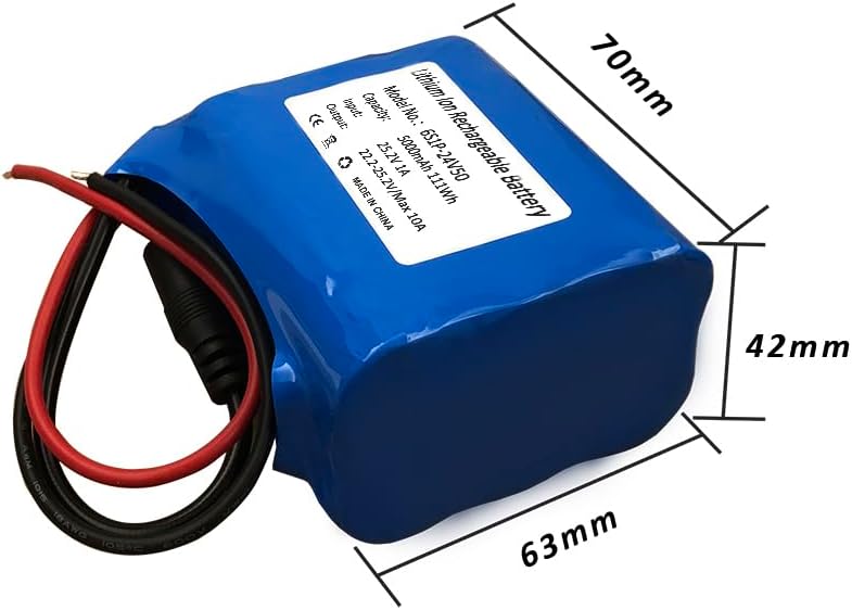Seasider 24V 5Ah Rechargeable Li-ion Battery Pack, Portable Bare Leads Wire Replacement Battery with 24Volt Charger