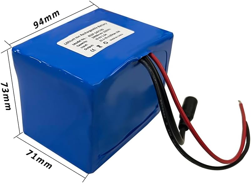 Seasider 24V 10Ah Rechargeable Lithium Battery, DC5521 Plug & Bare Leads Wire Replacement Battery with 24Volt Charger