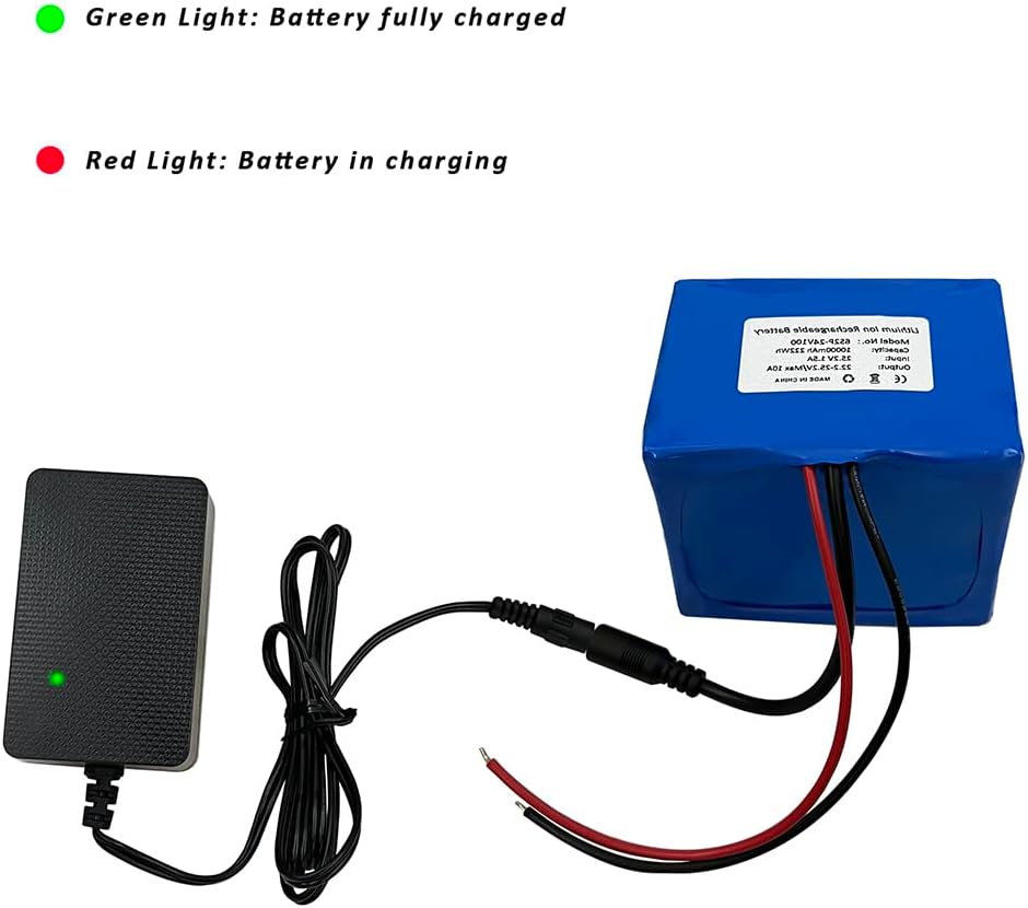 Seasider 24V 10Ah Rechargeable Lithium Battery, DC5521 Plug & Bare Leads Wire Replacement Battery with 24Volt Charger