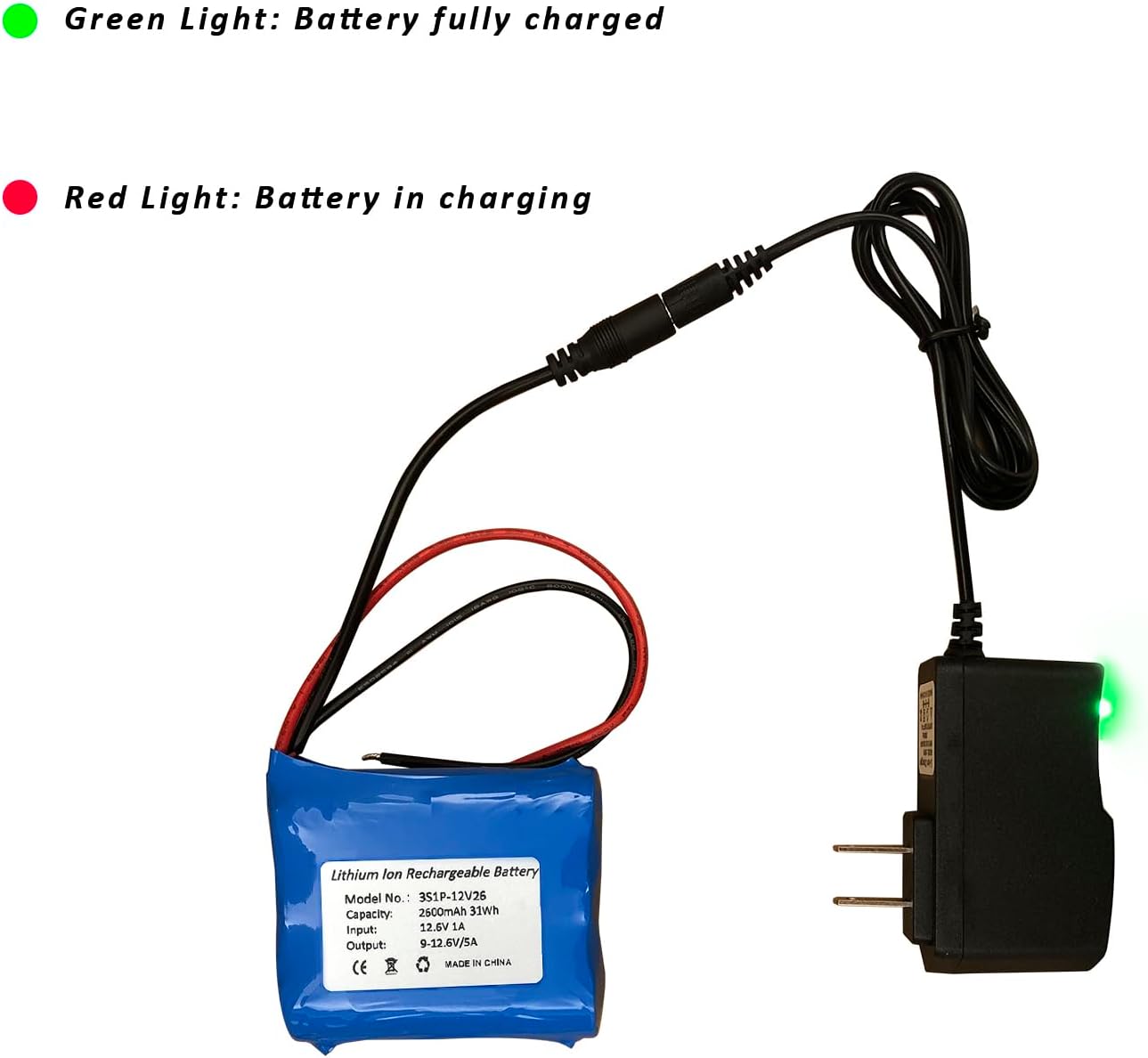 Seasider 12V 2600mAh Rechargeable Li-ion Battery Pack, Bare Leads Wire Lithium Replacement Battery with 12V Charger for 12 Volt Device RC Car, Boat, Robot, DIY, LED Light Strip